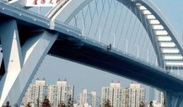 卢浦大桥爆料最新消息,事故原因及现场实况曝光